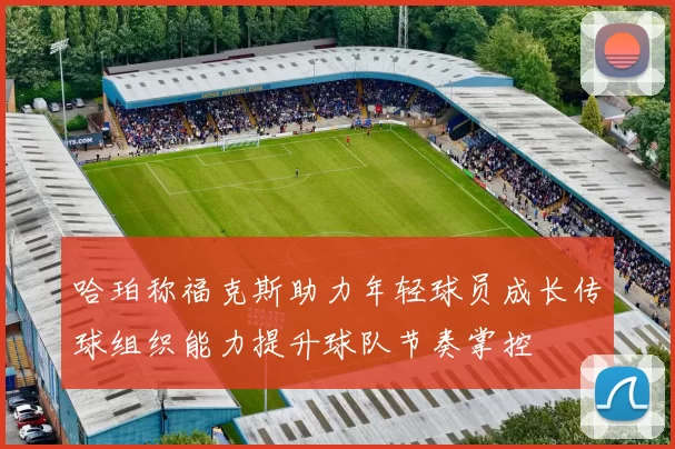 哈珀称福克斯助力年轻球员成长传球组织能力提升球队节奏掌控