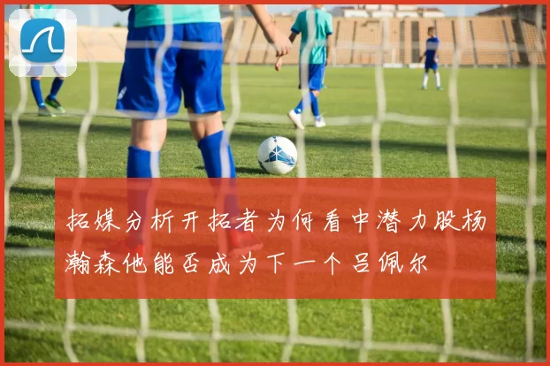 拓媒分析开拓者为何看中潜力股杨瀚森他能否成为下一个吕佩尔